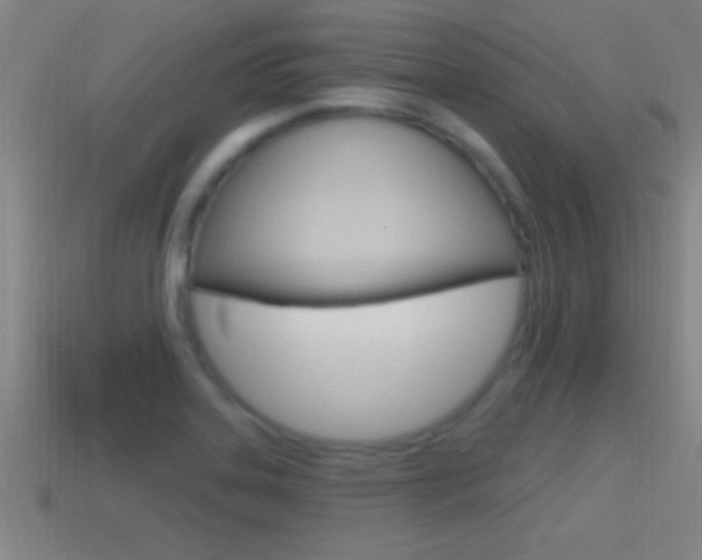 X0000114611323200910200931