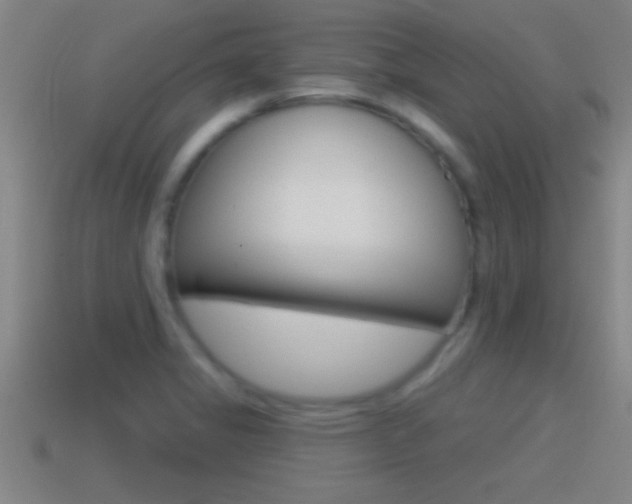 X0000114611325200910200931