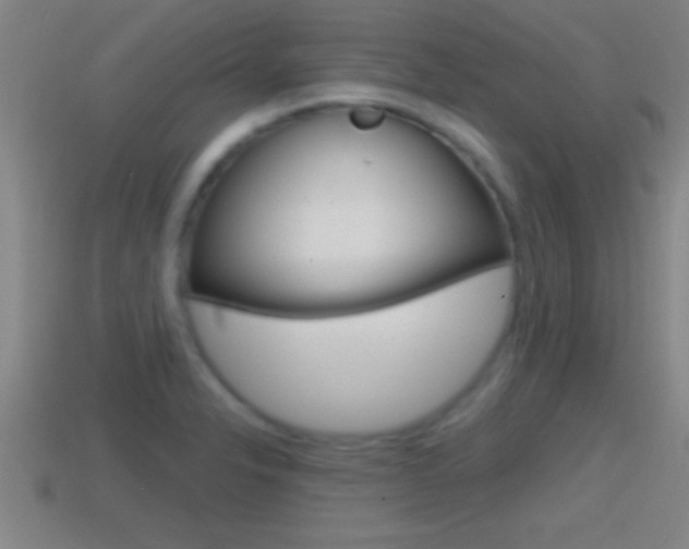 X0000114611326200910200931
