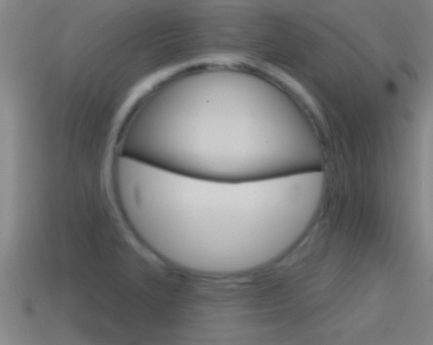X0000114611327200910200931