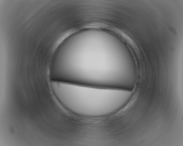X0000114611329200910200931