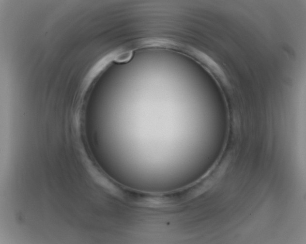 X0000114611330200910200931