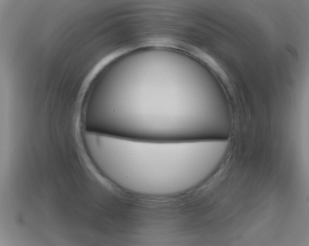 X0000114611331200910200931