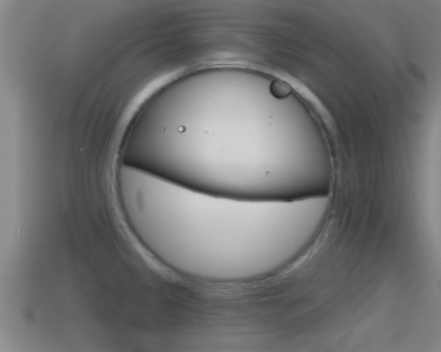 X0000114611333200910200931