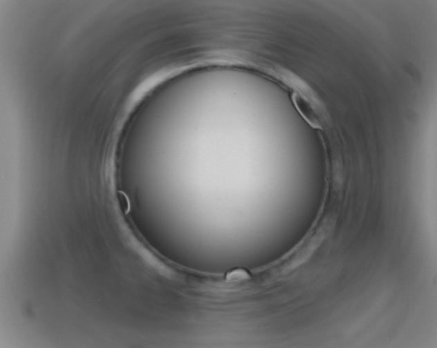 X0000114611334200910200931