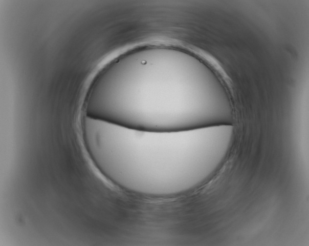X0000114611335200910200931