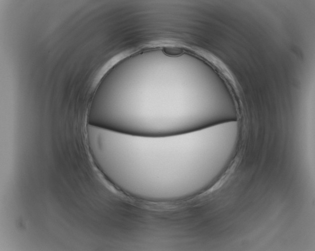 X0000114611337200910200931
