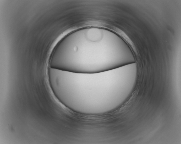 X0000114611339200910200932
