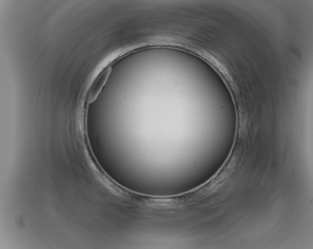 X0000114611342200910200932
