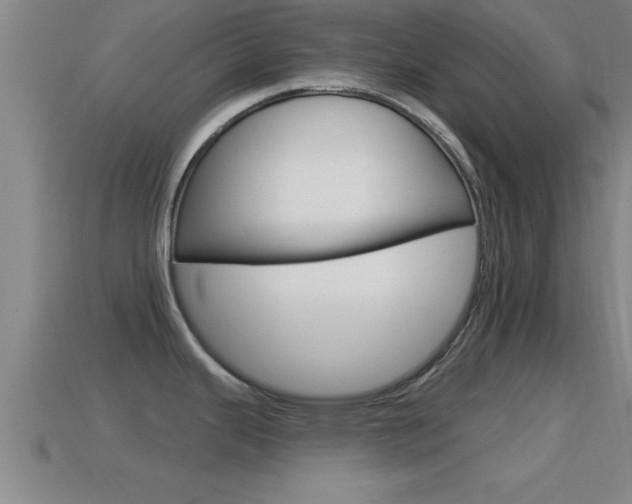 X0000114611343200910200932