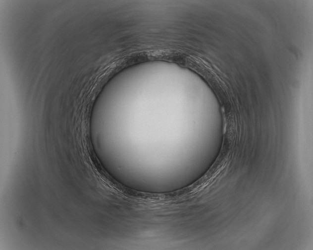 X0000114611345200910200931