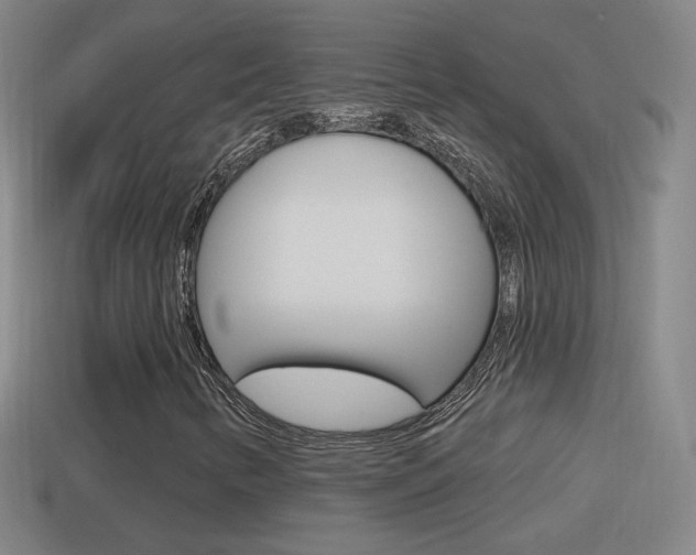 X0000114611346200910200931