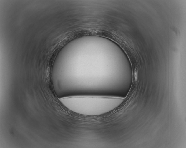 X0000114611347200910200931