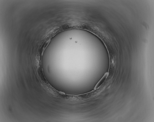 X0000114611348200910200931