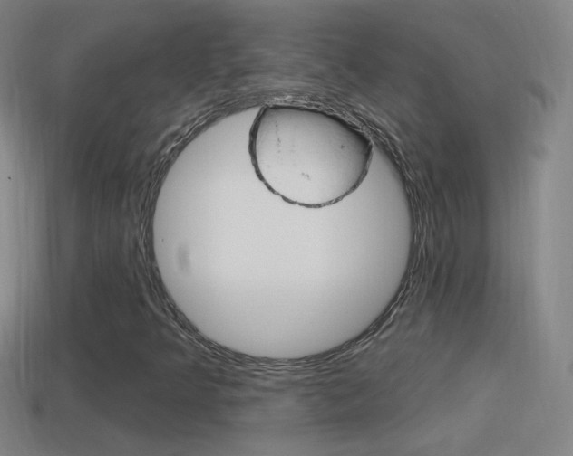 X0000114611349200910200931