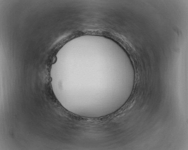 X0000114611350200910200931