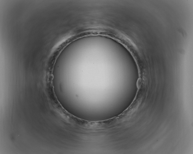 X0000114611352200910200931