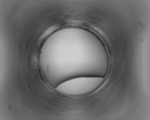 X0000114611354200910200931