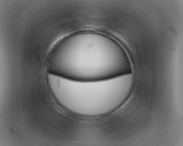 X0000114611355200910200931