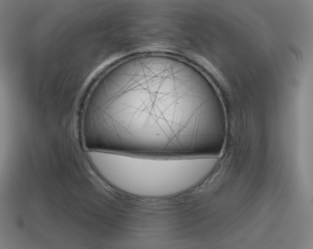 X0000114611356200910200931