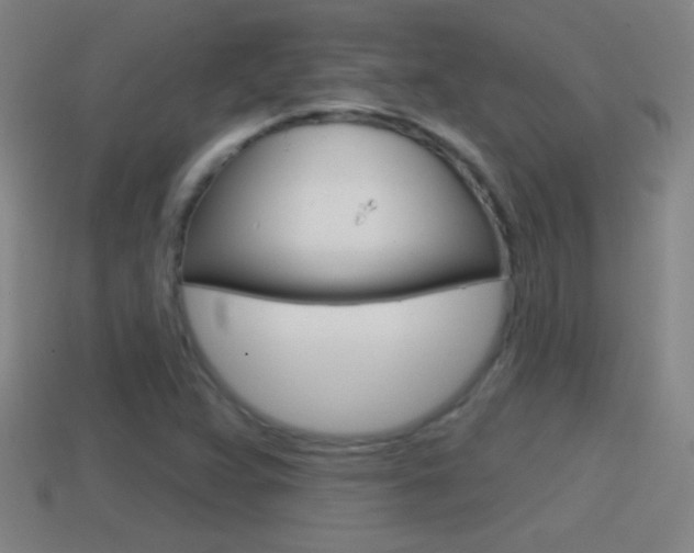 X0000114611359200910200931