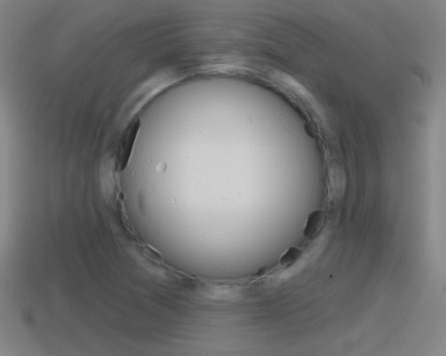 X0000114611361200910200931