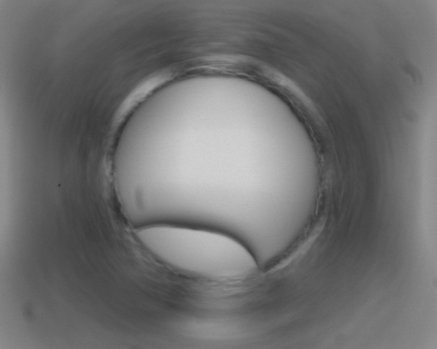 X0000114611362200910200931
