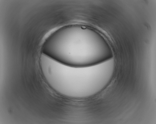 X0000114611363200910200931