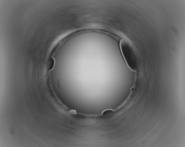 X0000114611364200910200931