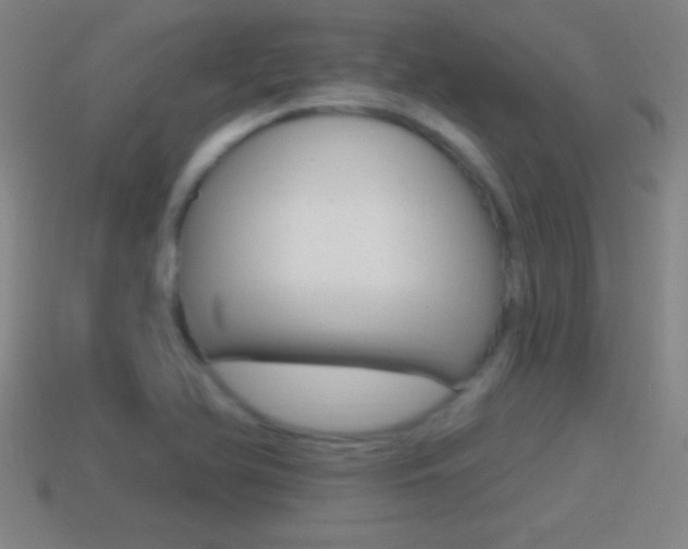 X0000114611366200910200931