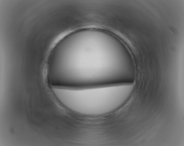 X0000114611367200910200931