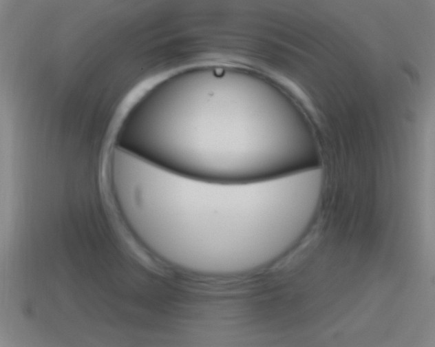 X0000114611371200910200930