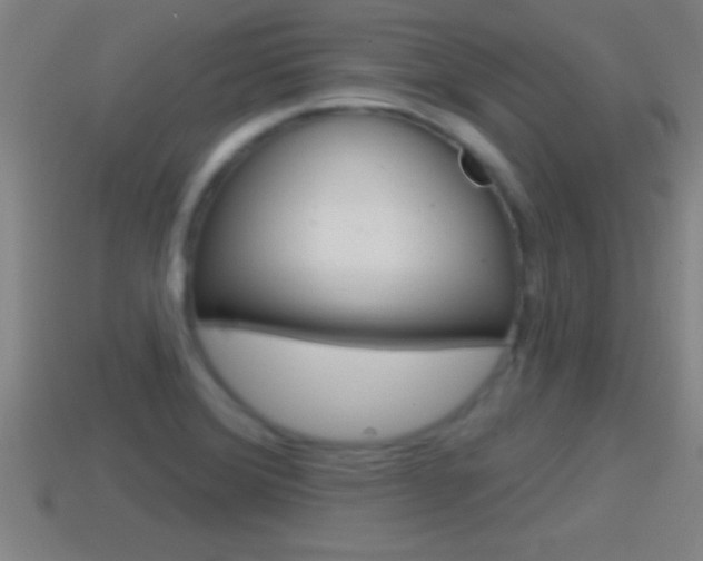 X0000114611372200910200930