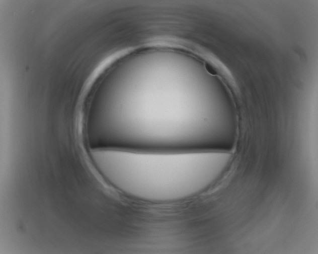 X0000114611376200910200930