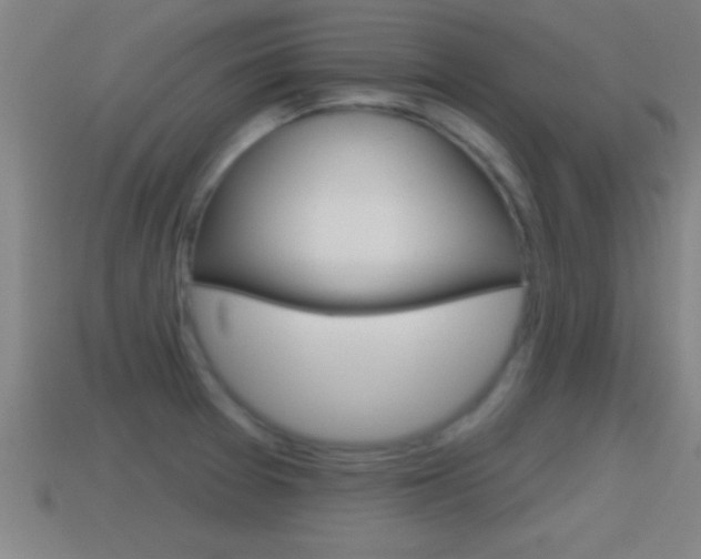 X0000114611377200910200930