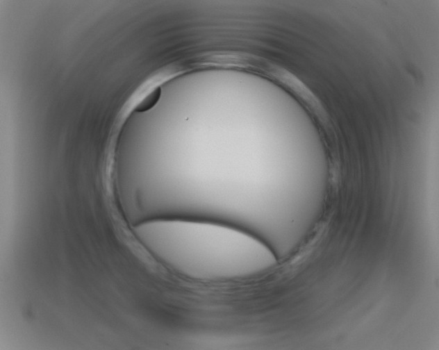 X0000114611378200910200930