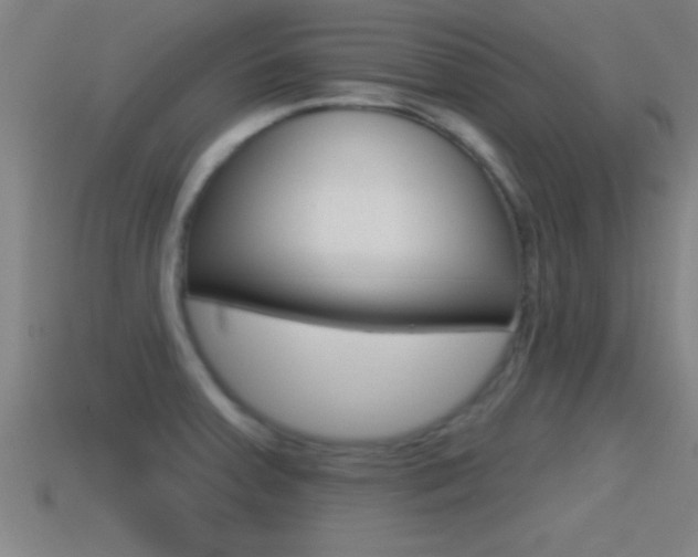 X0000114611379200910200930