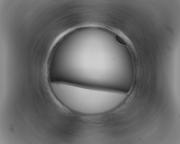 X0000114611380200910200930