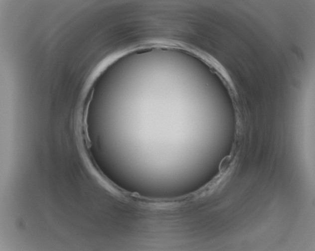 X0000114611381200910200930