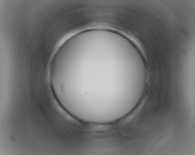 X0000114611382200910200930