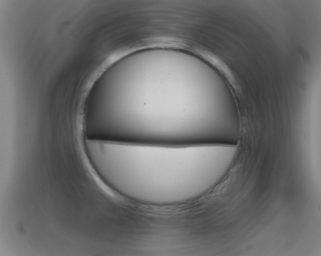 X0000114611383200910200930