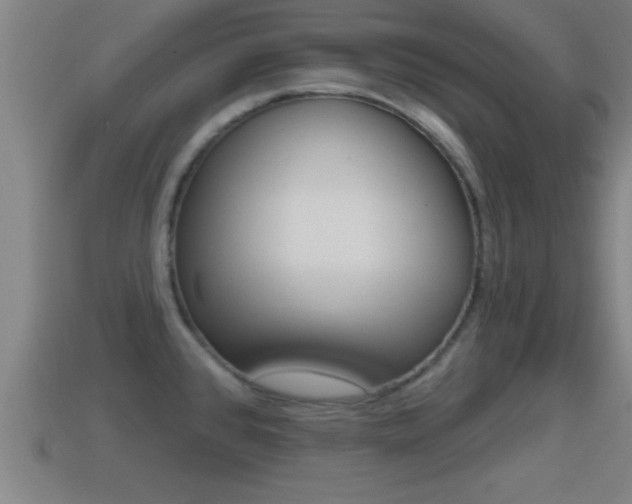 X0000114611384200910200930
