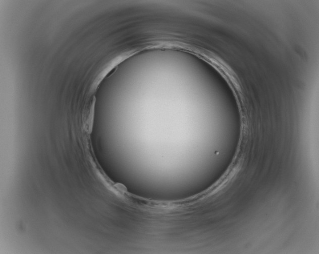 X0000114611385200910200930