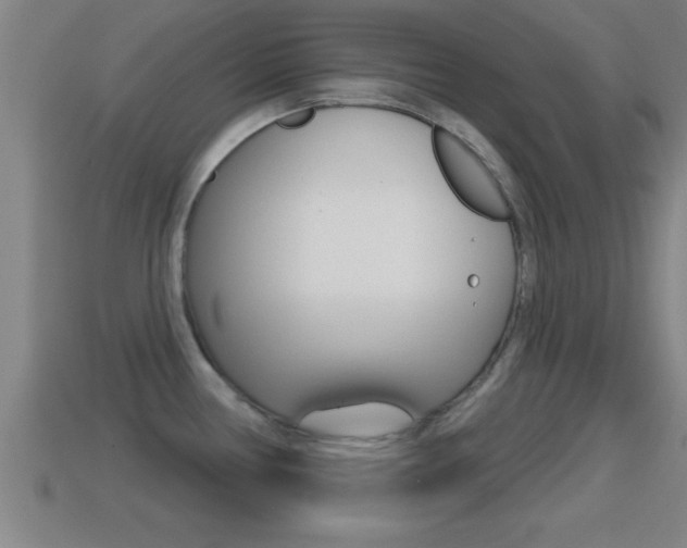 X0000114611386200910200930