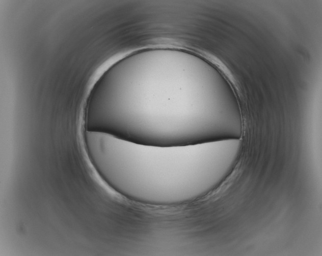 X0000114611387200910200930