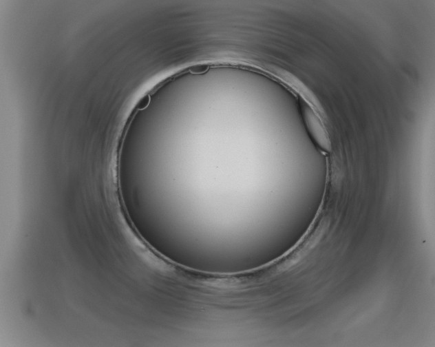 X0000114611388200910200930