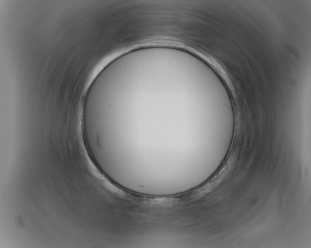 X0000114611390200910200930