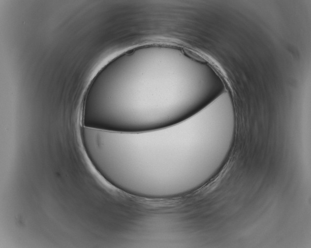 X0000114611391200910200930