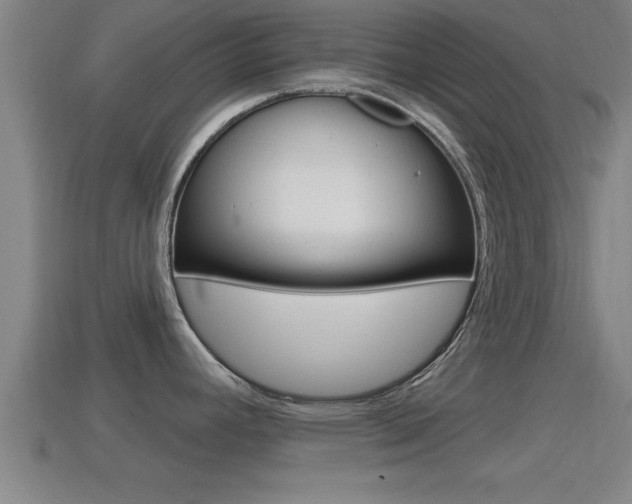 X0000114611392200910200930