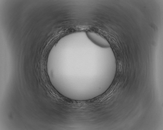 X0000114611393200910200930